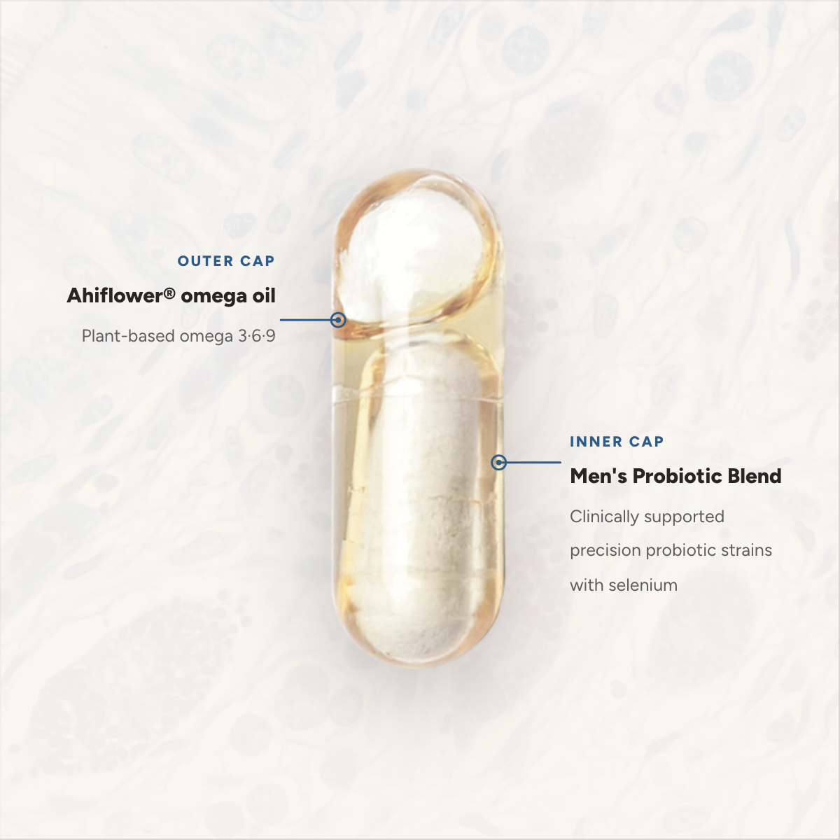 Men's Complete Probiotic