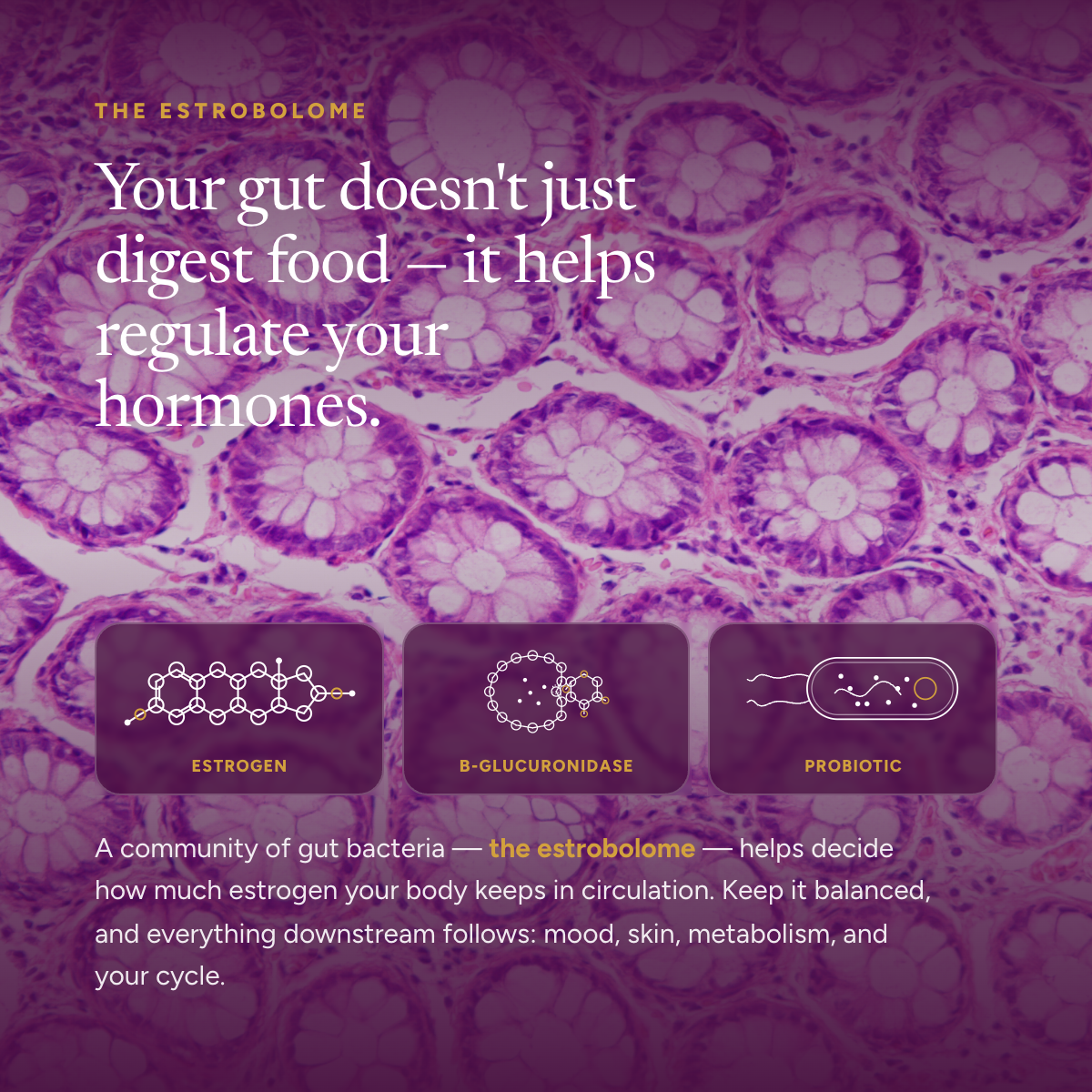 Hormone Balance Probiotic ES1