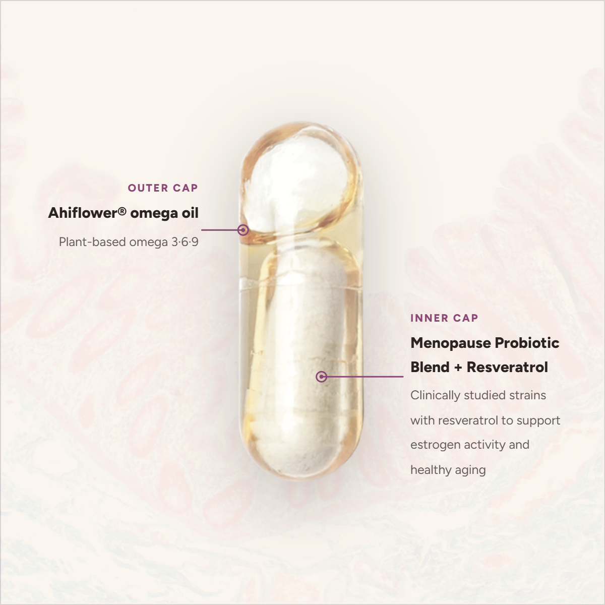Menopause Probiotic ES2