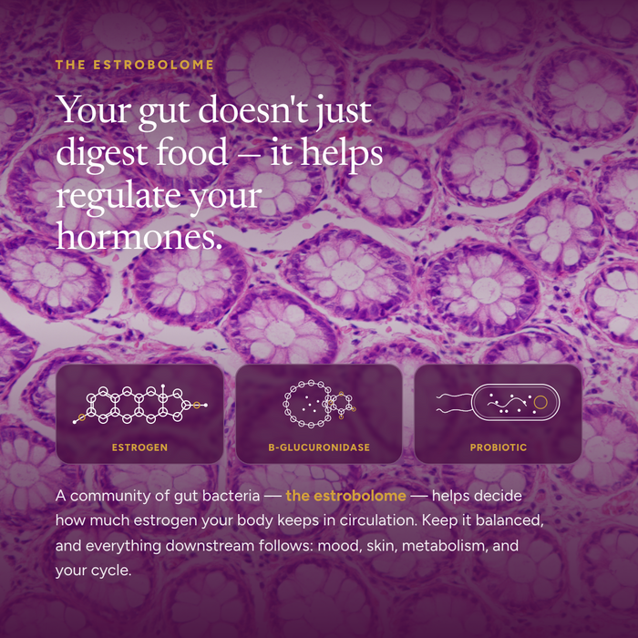 Hormone Balance Probiotic ES1