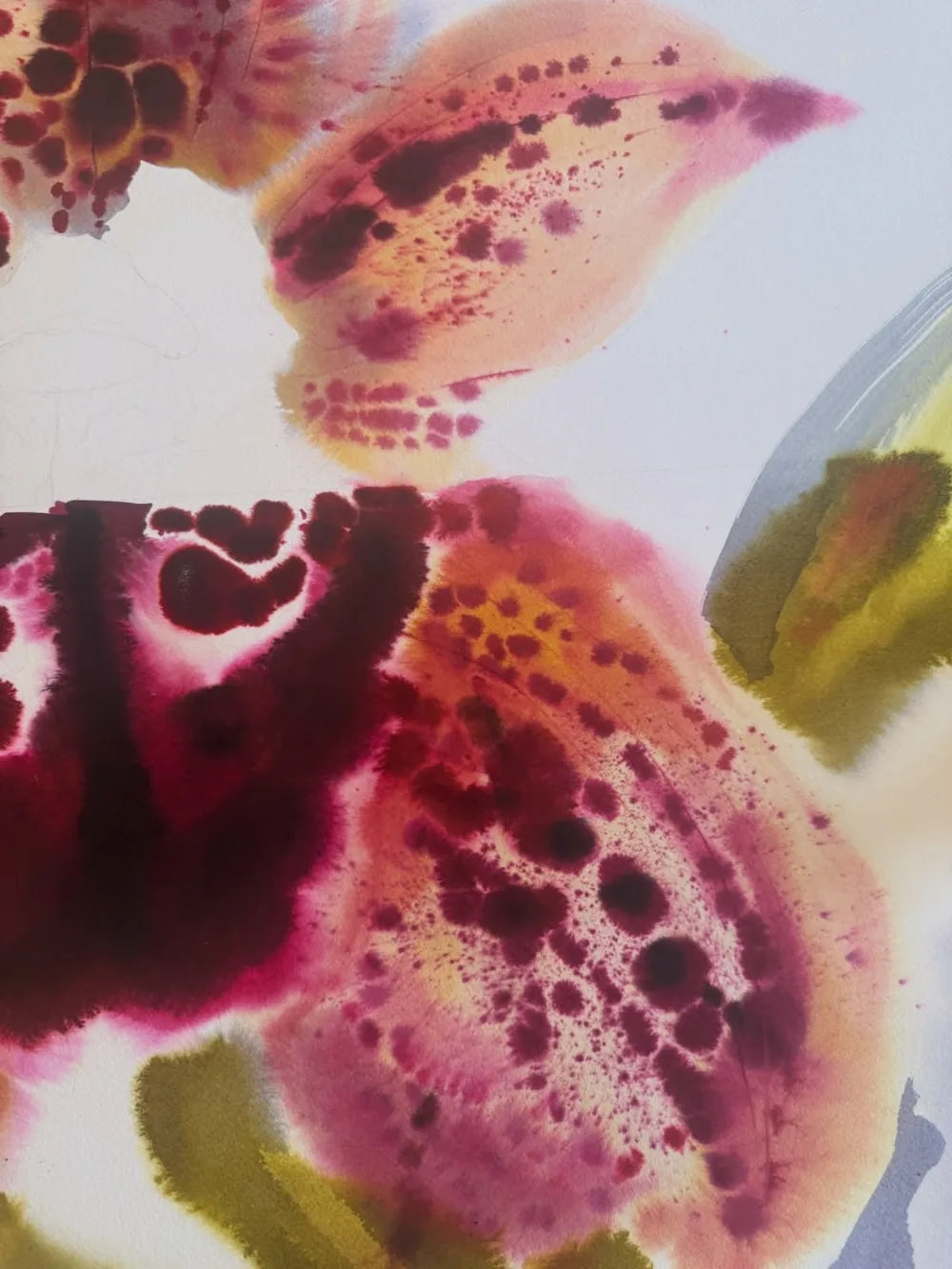 Watercolor orchid painting in berry, blush and olive