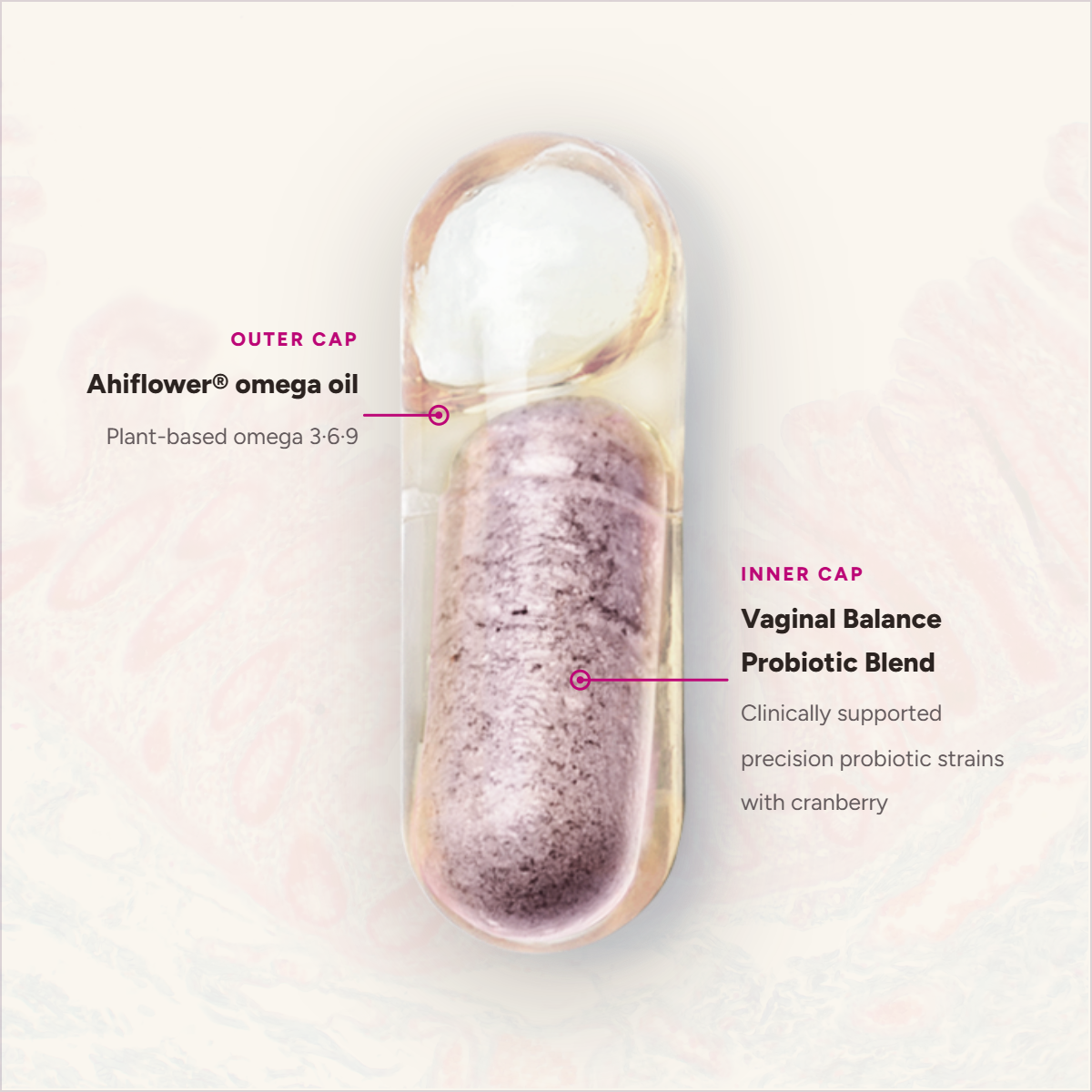 Daily Nouri Vaginal Balance Probiotic VG1